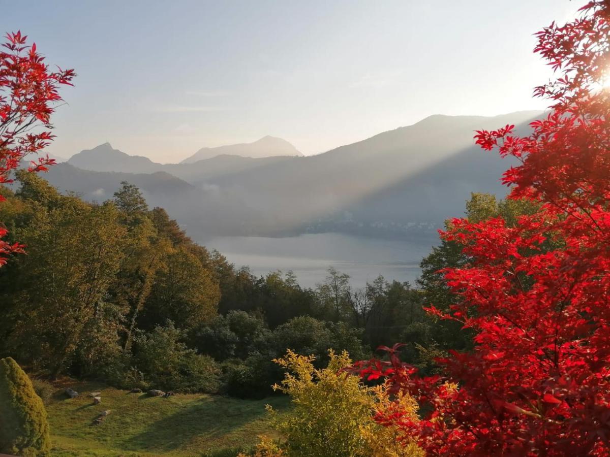 ブルジンピアーノ La Finestra Sul Lago Bed & Breakfast エクステリア 写真