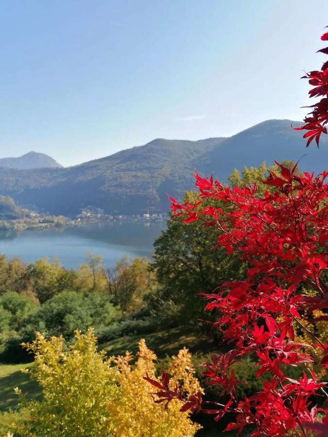 ブルジンピアーノ La Finestra Sul Lago Bed & Breakfast エクステリア 写真