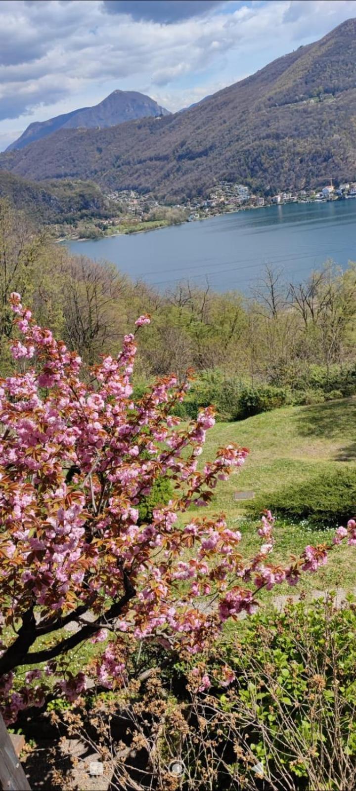 ブルジンピアーノ La Finestra Sul Lago Bed & Breakfast エクステリア 写真